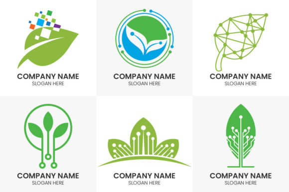 Crafting a Sustainable Visual Identity